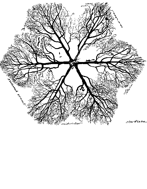 Star-Flake greeting card